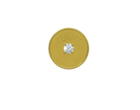 Diamond Coin